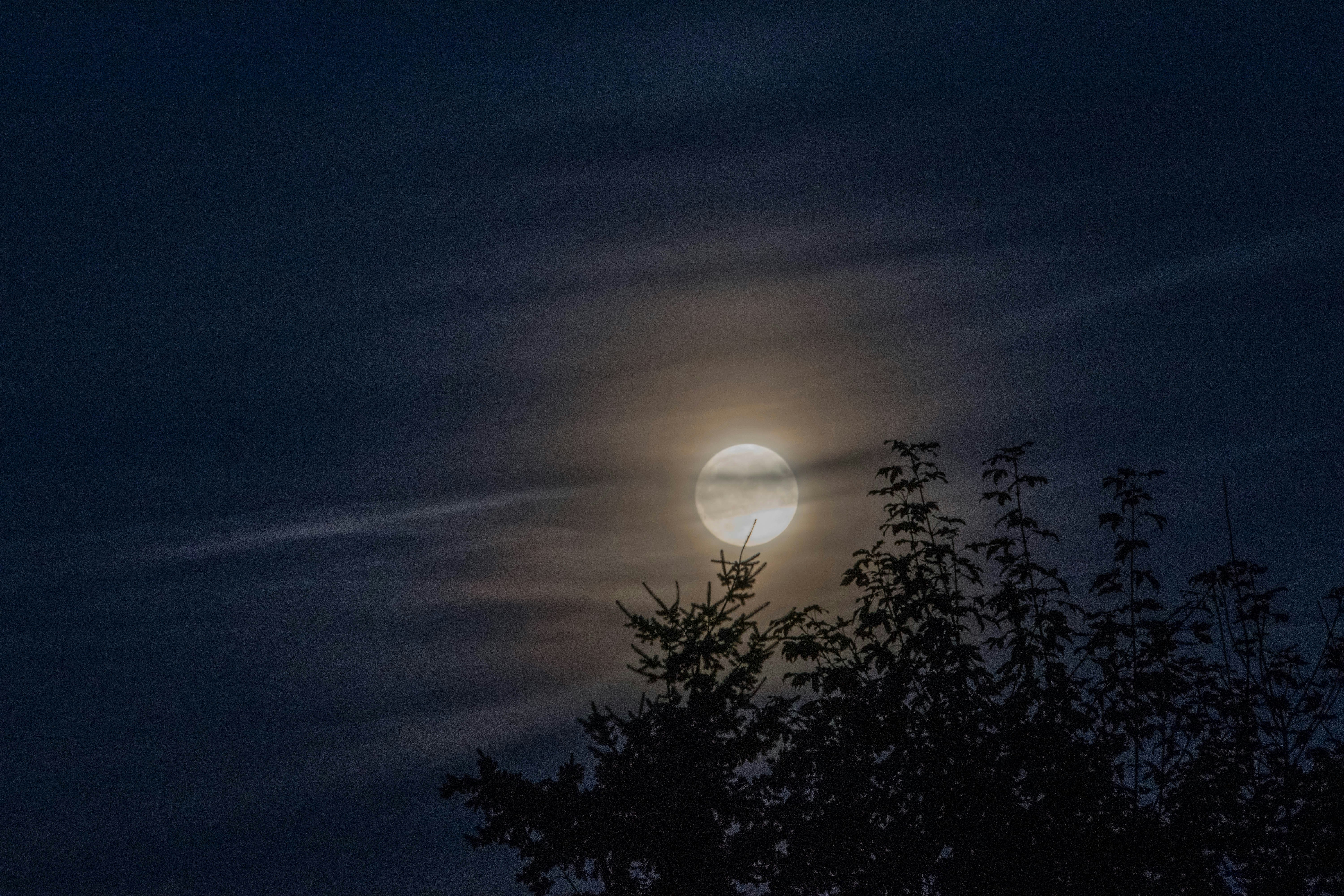 moon on sky photography
